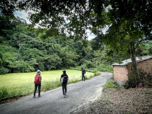 飛鳳山 大8三個山頭1722215