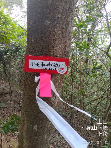 [新竹芎林]小尾山南稜...清理釘牌2111963