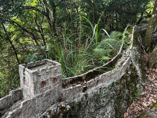 內湖鯉魚山之旅2811723