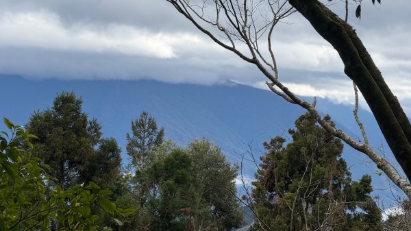 1150301溪頭天文台步道3008349