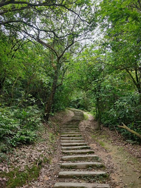 姜子寮山-小百岳#11-基隆市七堵區2248505