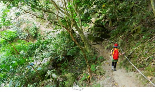 【登山健行│花蓮秀林】健行旅記，錐麓古道965433