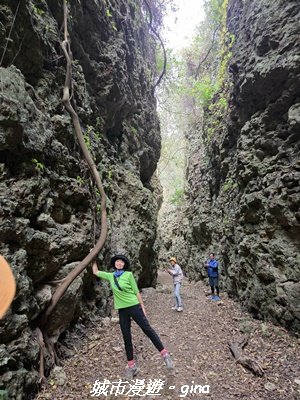 【高雄田寮】小百岳大崗山x大崗山磐龍峽谷步道3013152