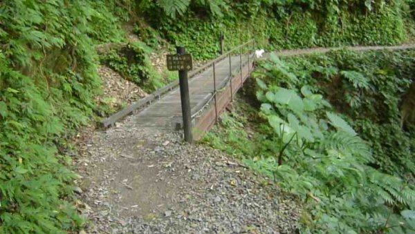 礁溪林美石盤步道643406