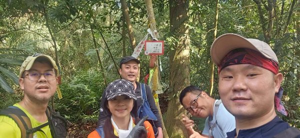 20260308內灣三山(內灣山-麥樹仁山南峰-麥樹仁山-舊砲台山-加那排山-白石湖山)3013419