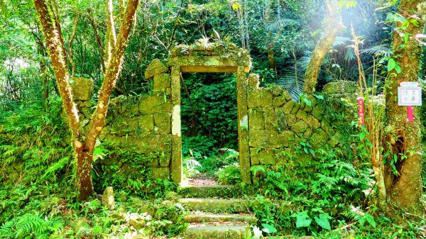 崩山坑越嶺內盤山2913771