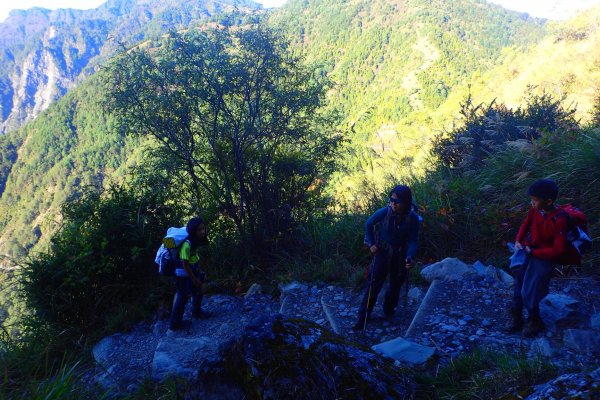 登峰造極--2018玉山主峰532639