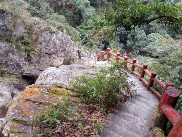 猴洞坑溪瀑布步道885023