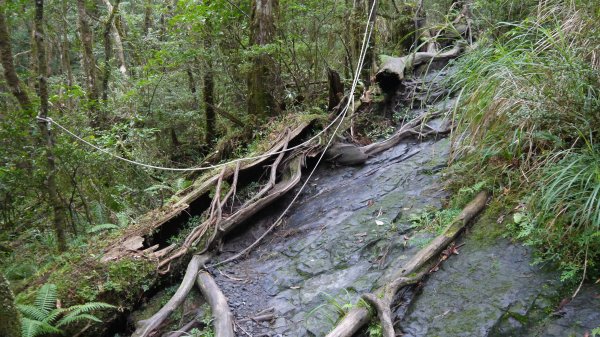 松蘿湖單攻登山健行趣（步道）1522282