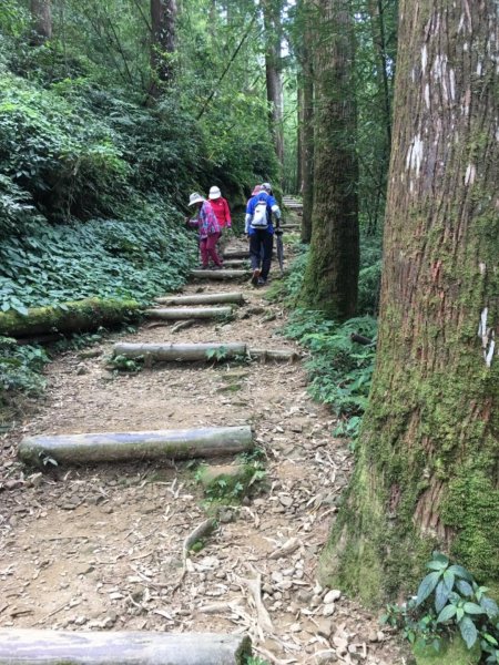 奮起湖大凍山步道486104