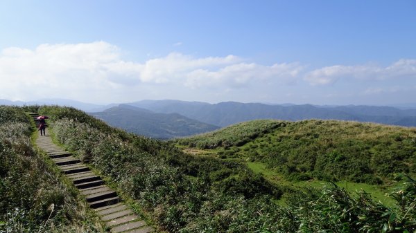 灣坑頭山，大里上大溪下1993814