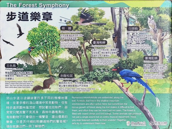 2025/05/31_烘爐地登山步道(南勢角山)2801425