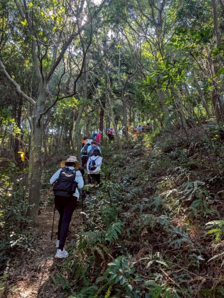 🌈11/8（六）桃園神社+虎頭山風景區尋找10連峰✨FB：熊熊趴爬走🌈2932437