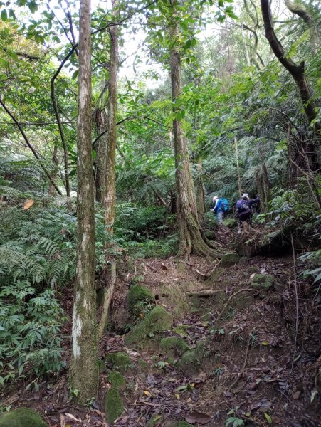 雷公埤山-鱷魚島觀景-小格頭獅頭山2001493