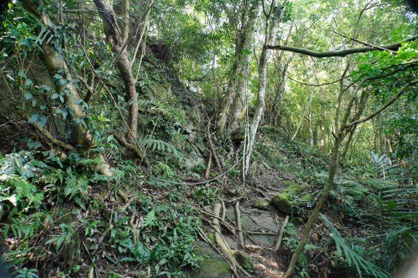 新竹 峨嵋 猿山、六寮山、玖玖山、獅頭山、獅尾山3012151