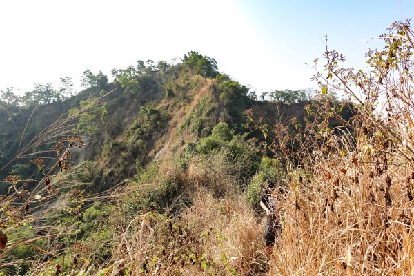 觀音山｜大社觀音山小百岳3002715