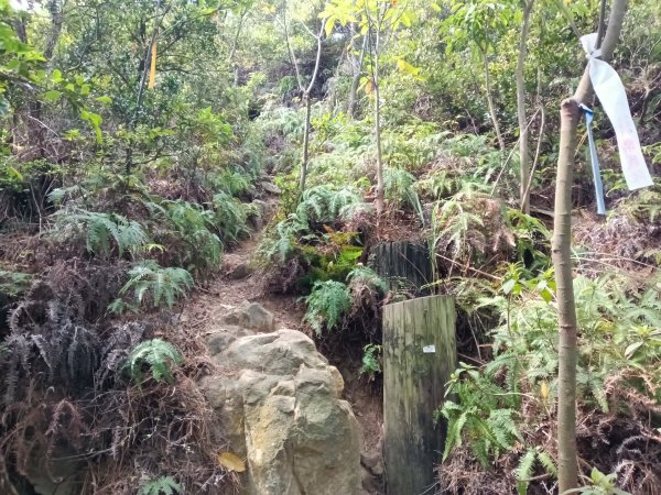 北投區大砲岩-石壇山-大師岩-湯守山-熱海岩場-八頭山-烏尖連山-軍艦岩3027344