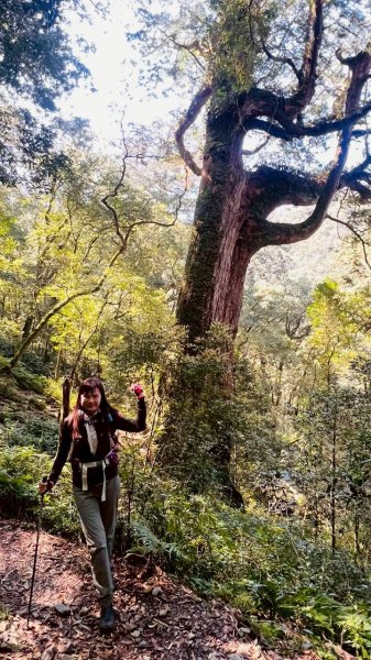 🌈3/14（六）赫威神木群+赫威山✨FB：熊熊趴爬走🌈3015385