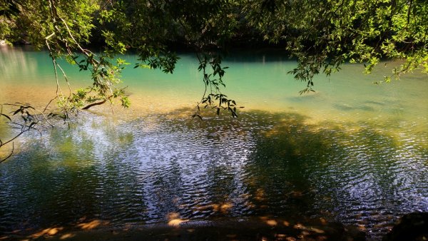 璀璨百年淡蘭古道～闊瀨古道、北勢溪古道、怣子坑古道、南豹子廚O走1260350