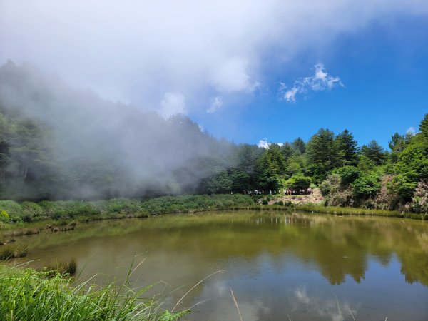 2026-0705-大雪山神木啞口健行3082583