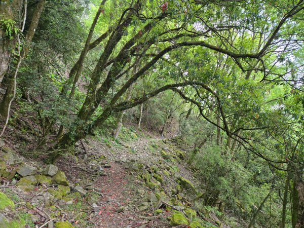 石山引水道2758979