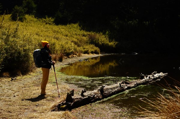 武法奈尾山天巒池872510