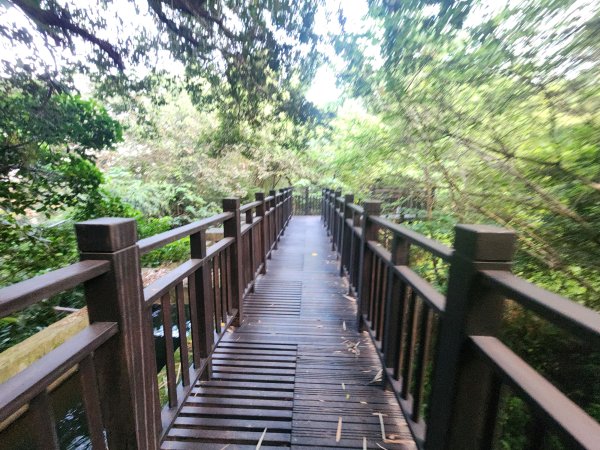 20250921學田山王田山大肚山大尖山竹坑山2928456