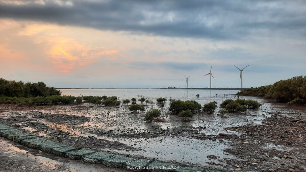 《彰化》海空七夕｜芳苑海空步道濕地紅樹林202408102569276