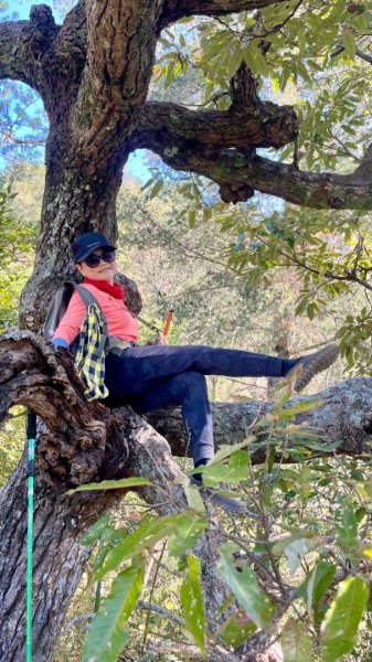 【谷關七雄】波津加(H1771.6m)肉腳配速成功2670564