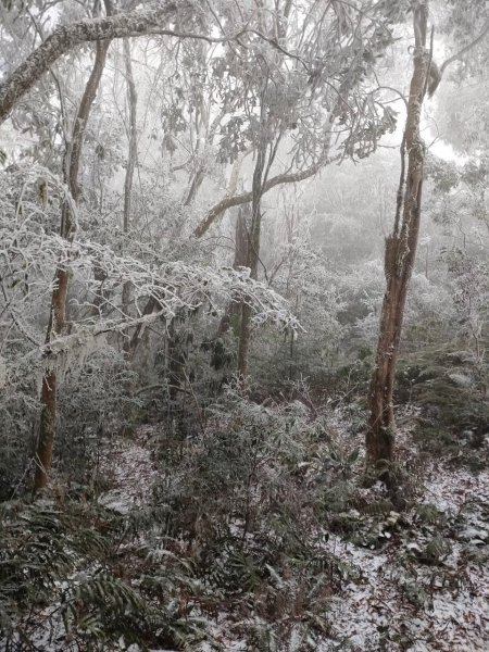 雪季北得拉曼2956399