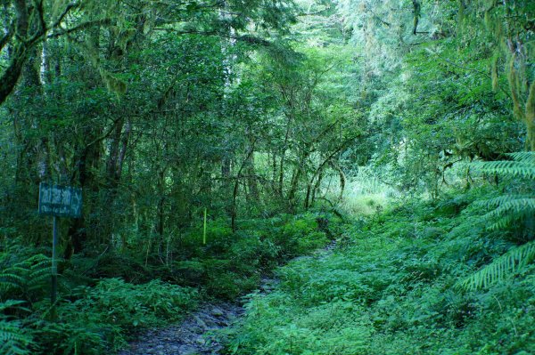 宜蘭 大同 加羅山2890265