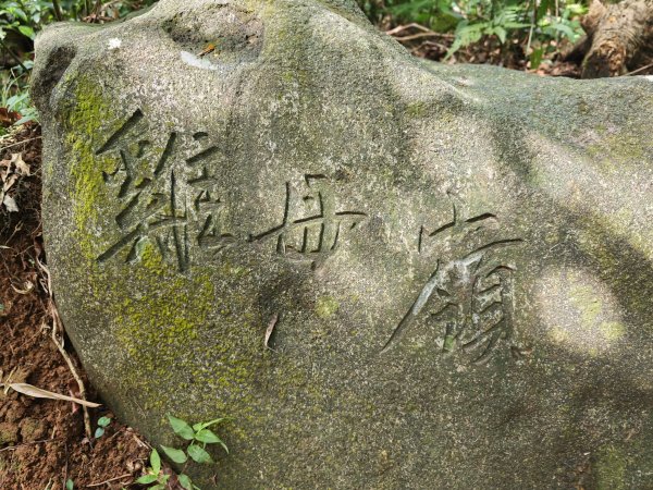 [淡蘭古道] 2026_0502 北路第二段_雞母嶺古道3047953