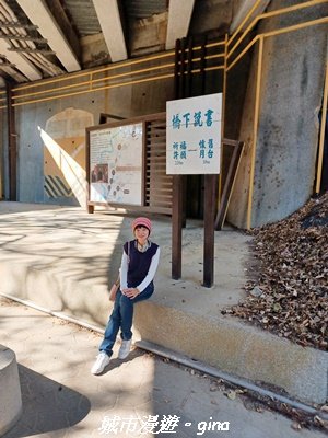 【苗栗】貓貍山公園功維敘隧道2981679