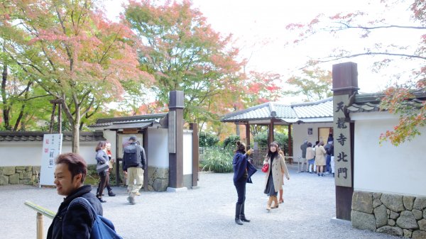 日本京都嵐山652060