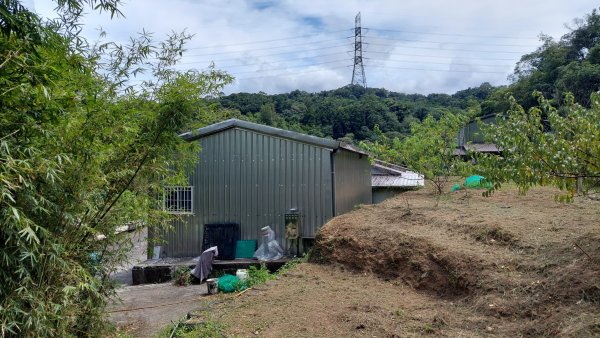 平溪區 東勢格越嶺古道-咸豐嶺古道-臭頭山-白石後仙洞O型2267796