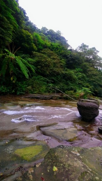 姜子寮山（小百岳）、旗尾崙山O走917227