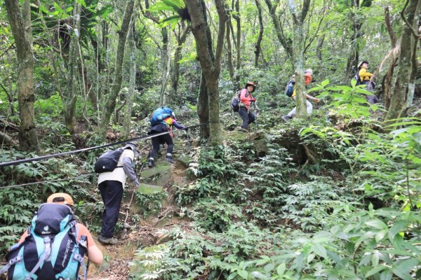 福卯古道-雪山尾稜北段-隆嶺古道2800016