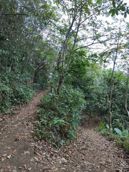 2023.11.30 九份二山2677667