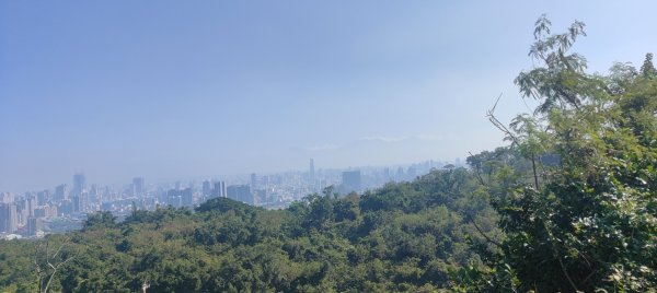 高雄壽山、半屏山2943050