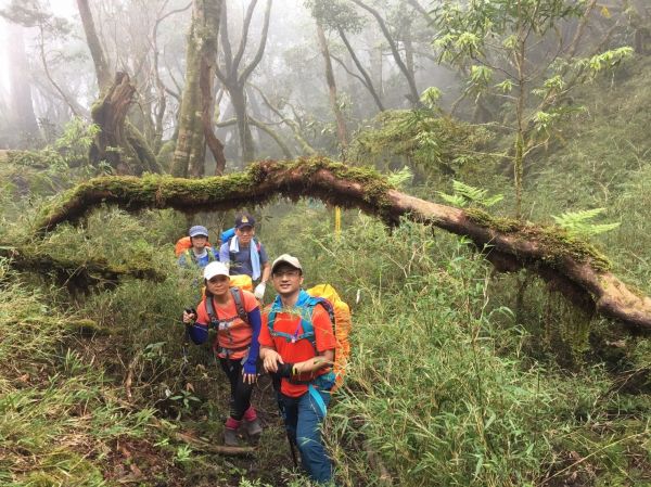 塔曼山，玫瑰西魔山 106.5.7(日)128669