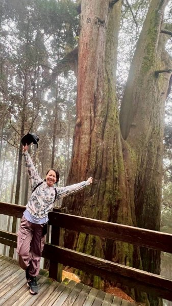 🌈3/28（六）觀霧檜山巨山步道×瀑布步道✨FB：熊熊趴爬走🌈3025253