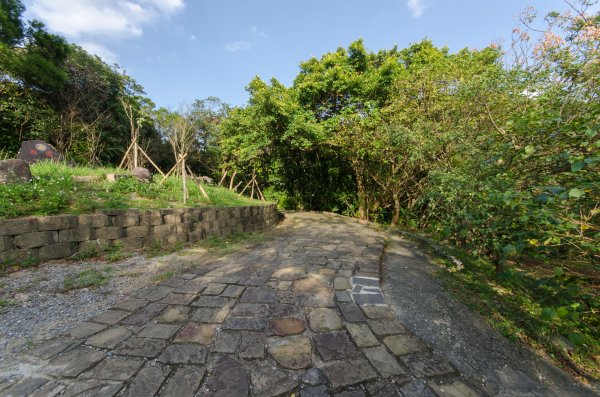 基隆情人湖步道445094