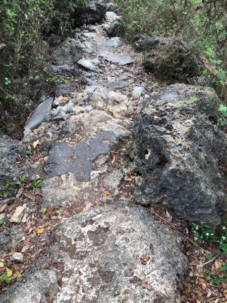 2020.04.02北柴山900706