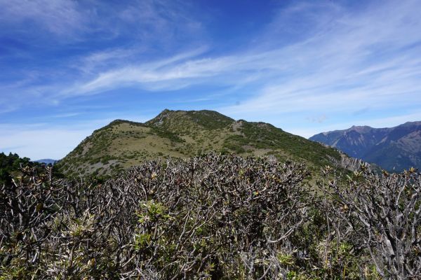 八通關古道西段（三）秀姑坪＆秀姑巒山392028