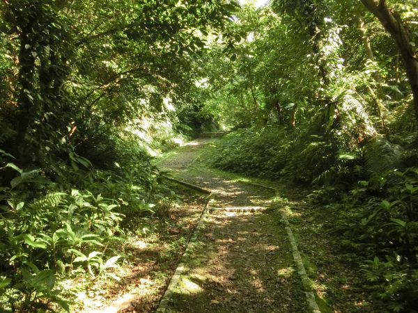 土庫岳．栳寮古道．更寮古道120765