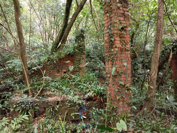 基隆市三層山+湳子大崙+淡基橫斷古道+面桶寮土地公2982229
