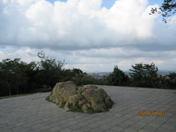 樹林大棟山918291