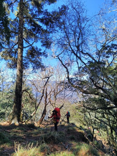 神魔塚0型縱走2728732