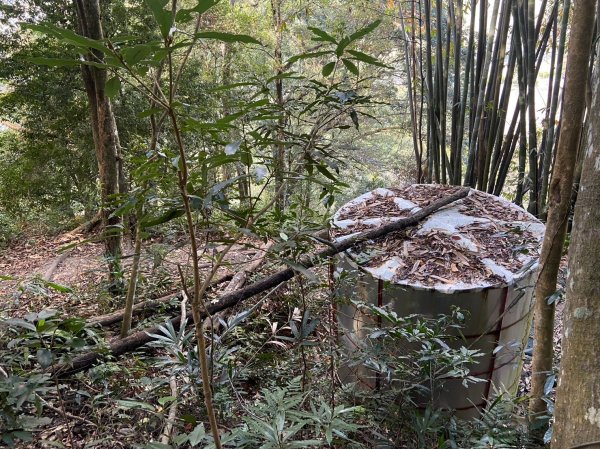 唐麻丹山-松鶴上三角點O型回松鶴2378404