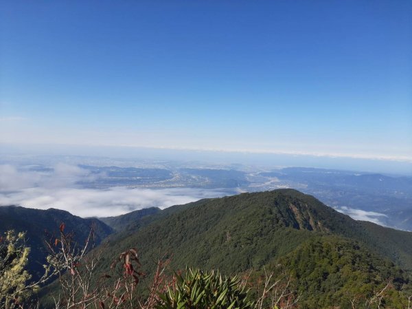 鳶嘴,捎來,橫嶺1958438